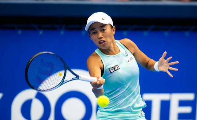 华体会app官方网站-张帅遭压制无缘决赛  继续“发力”将追平最佳排名